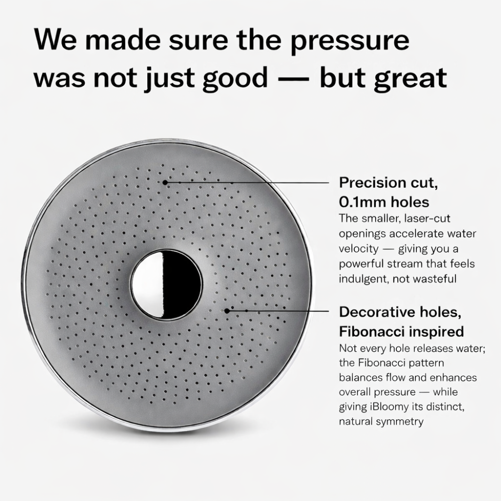 The Filtered ShowerHead